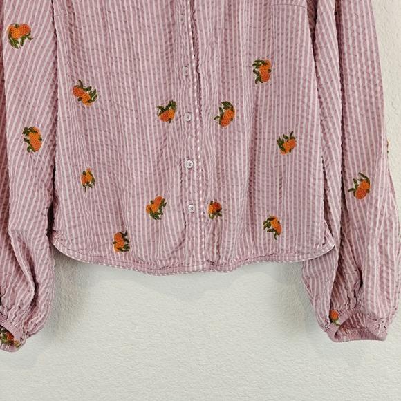 Anthropologie Maeve Embroidered Button down Shirt In Assorted Fruit Striped LG - Picture 3 of 15